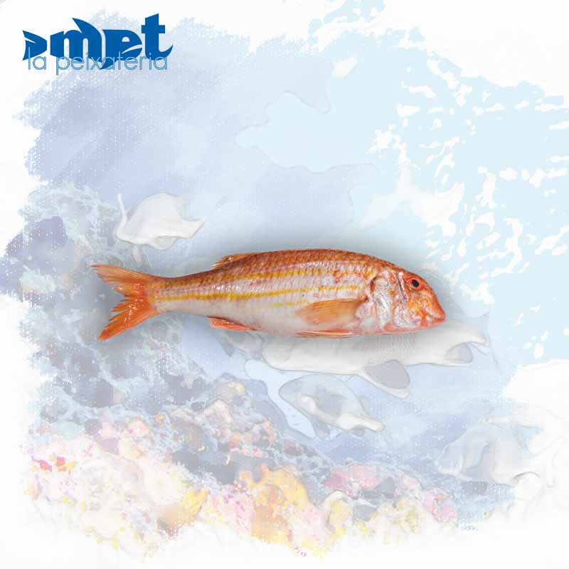 Salmonete