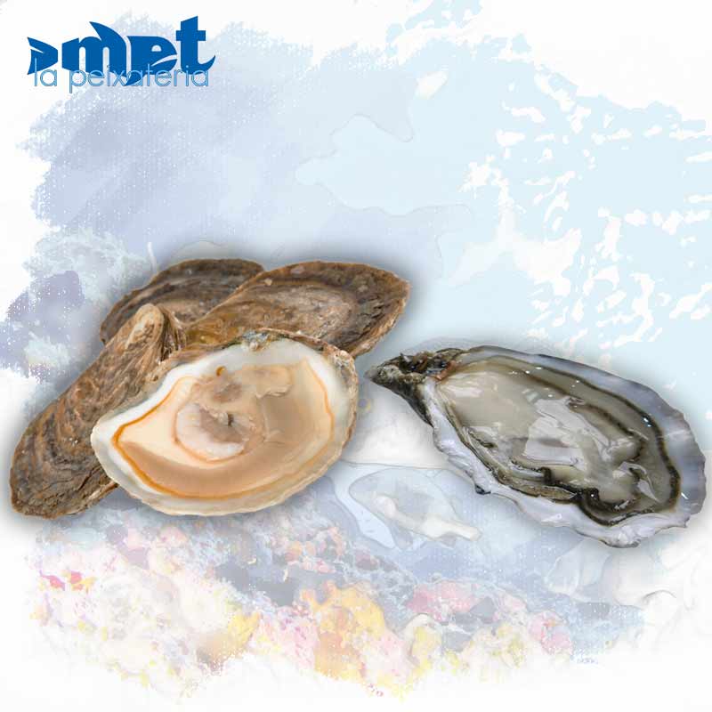 Ostra